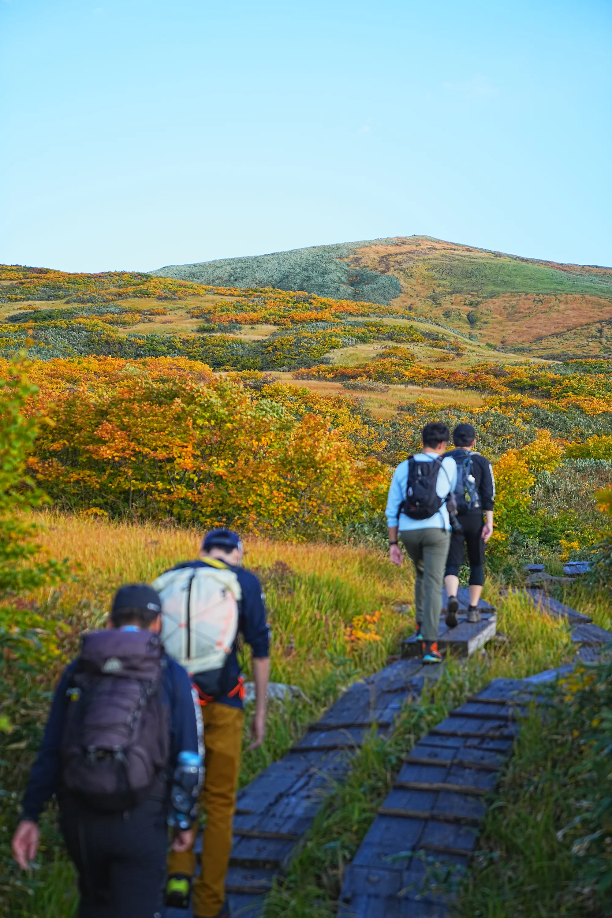 紅葉に染まる名峰・月山。2025年紅葉状況レポート。