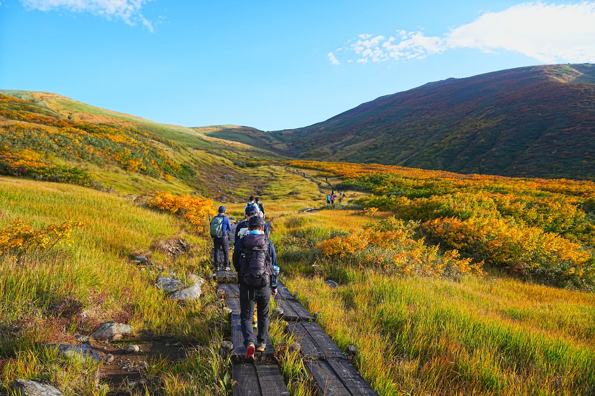 紅葉に染まる名峰・月山。2025年紅葉状況レポート。