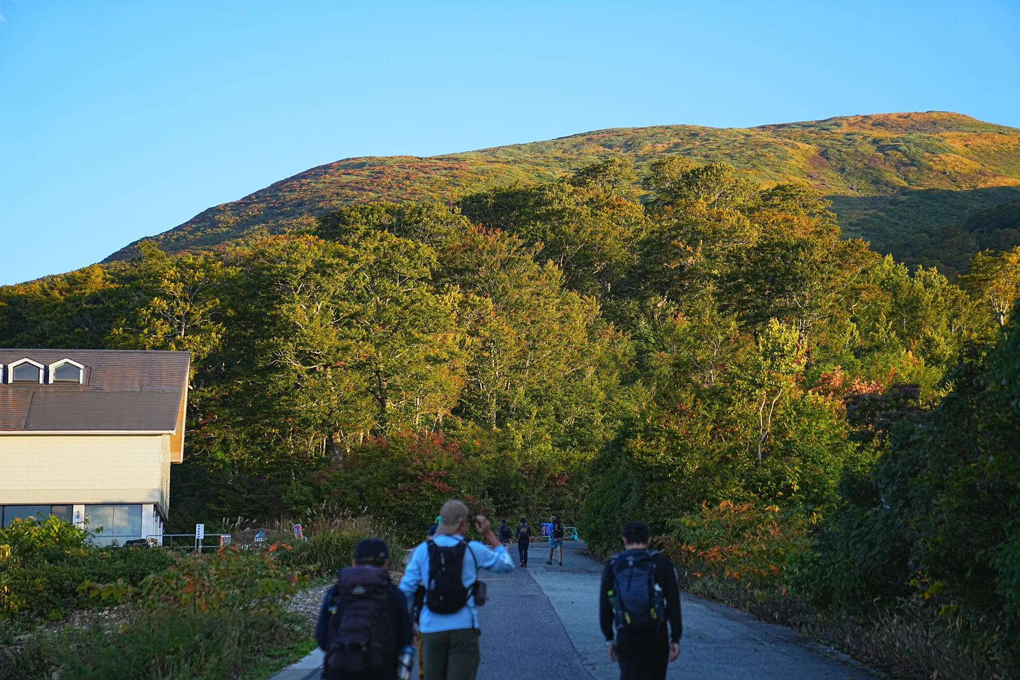 紅葉に染まる名峰・月山。2025年紅葉状況レポート。