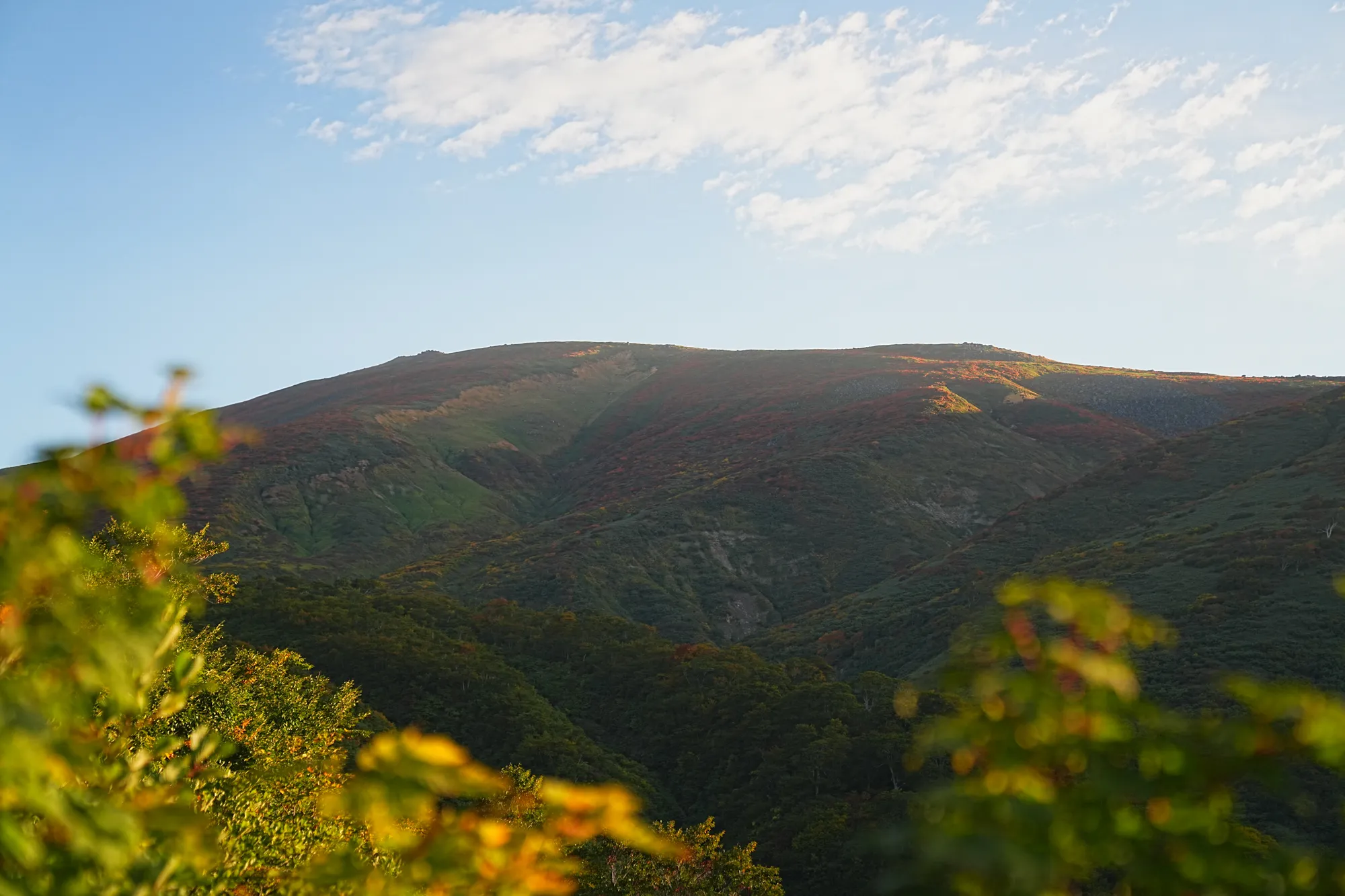 紅葉に染まる名峰・月山。2025年紅葉状況レポート。