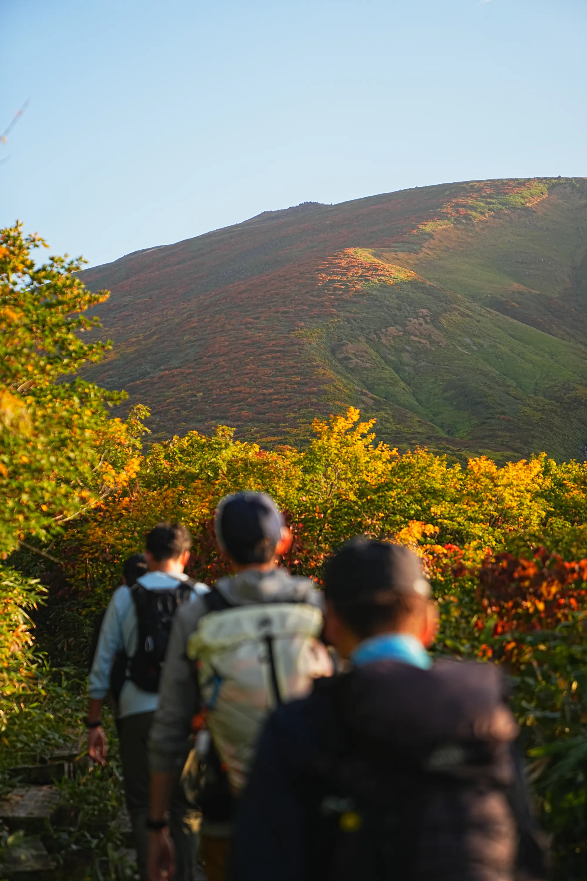 紅葉に染まる名峰・月山。2025年紅葉状況レポート。