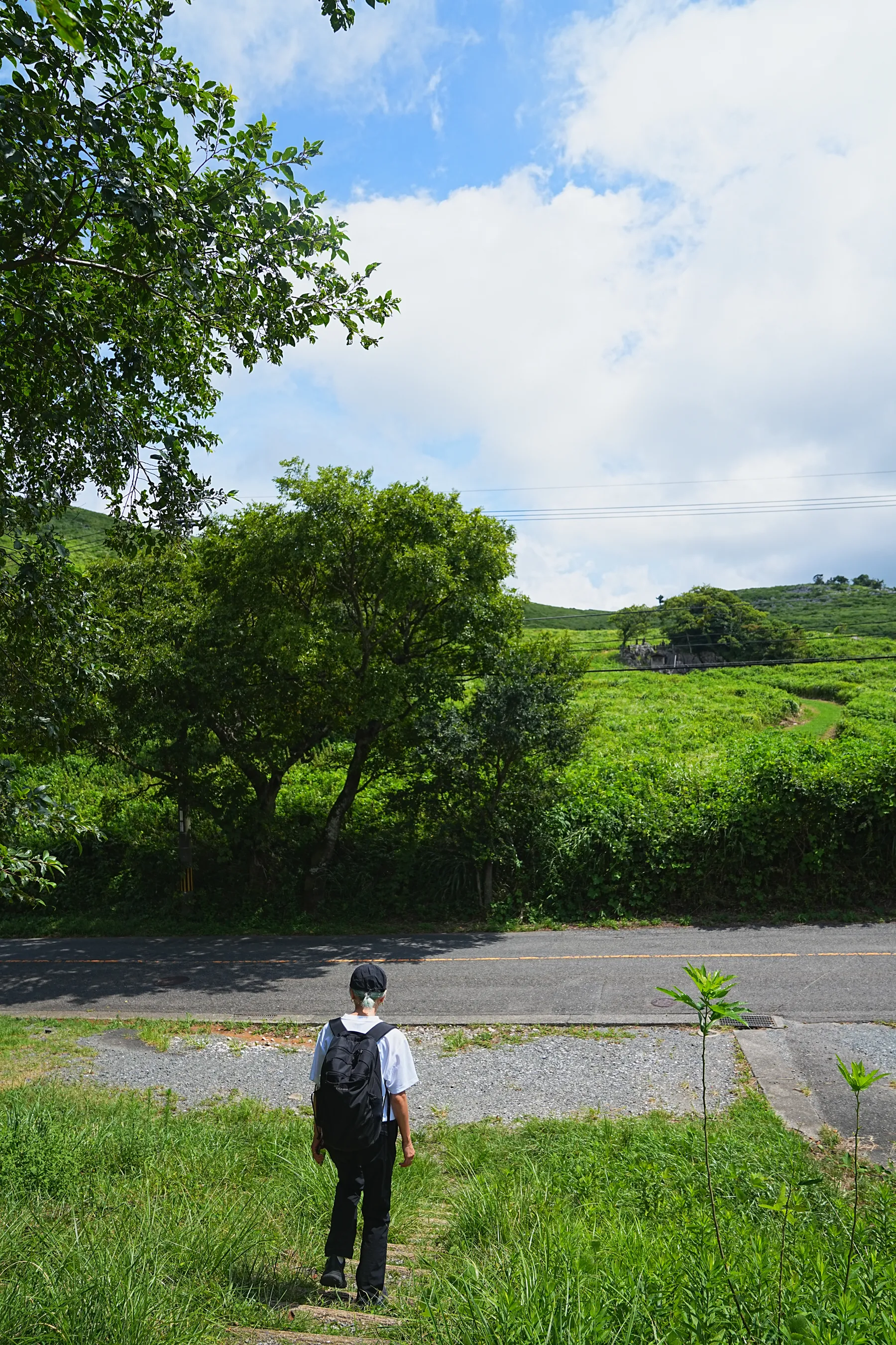 日本三大カルスト。福岡の平尾台ハイキング！
