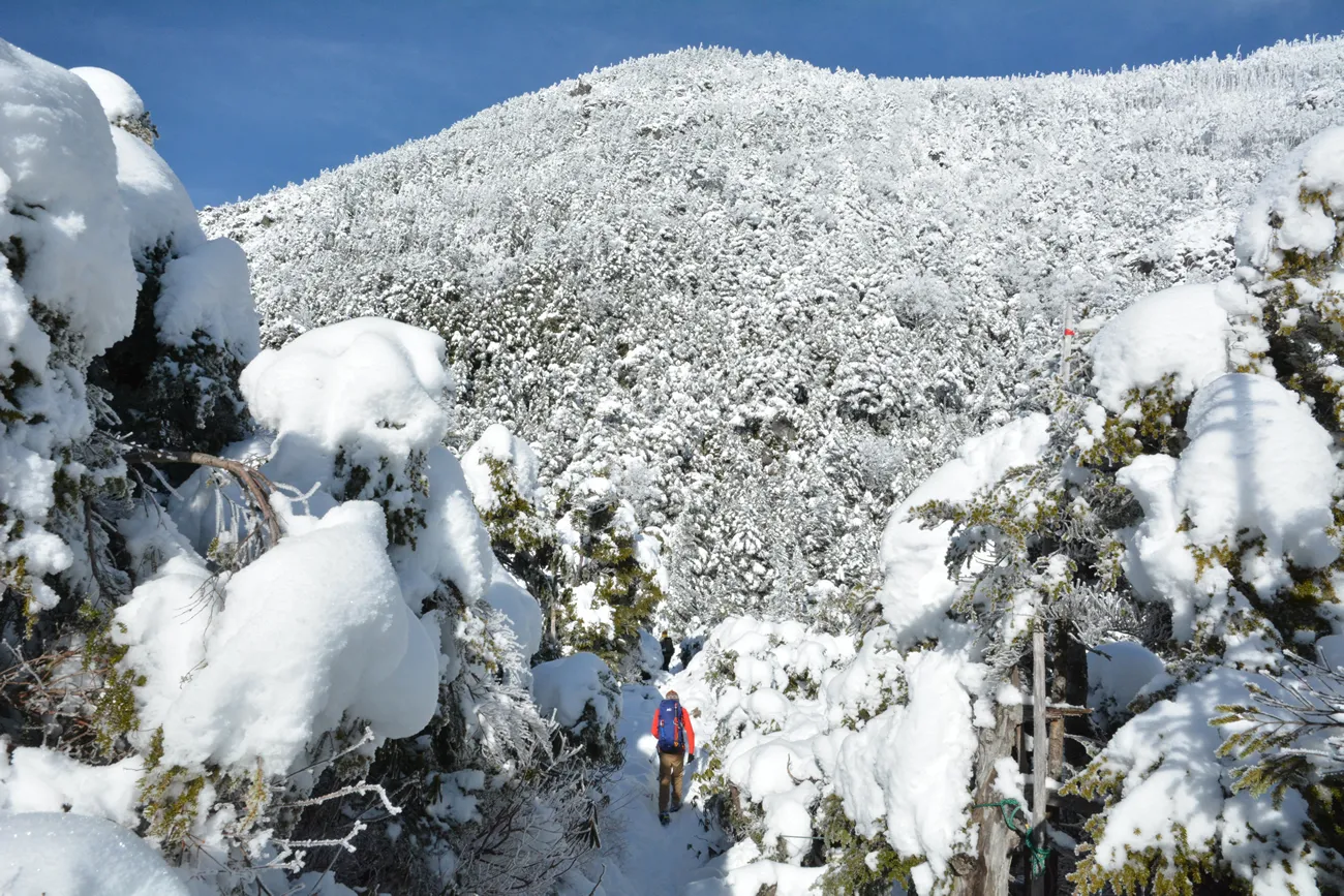北横岳 登山 2015