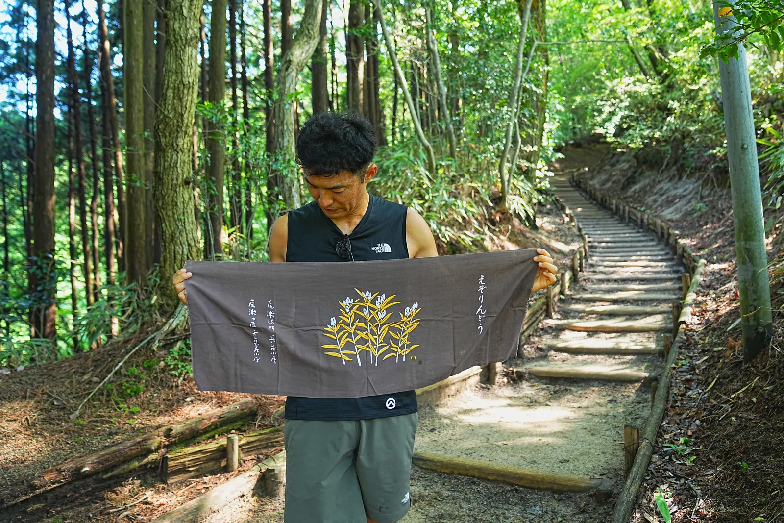 初夏の金剛山を木漏れ日登山！