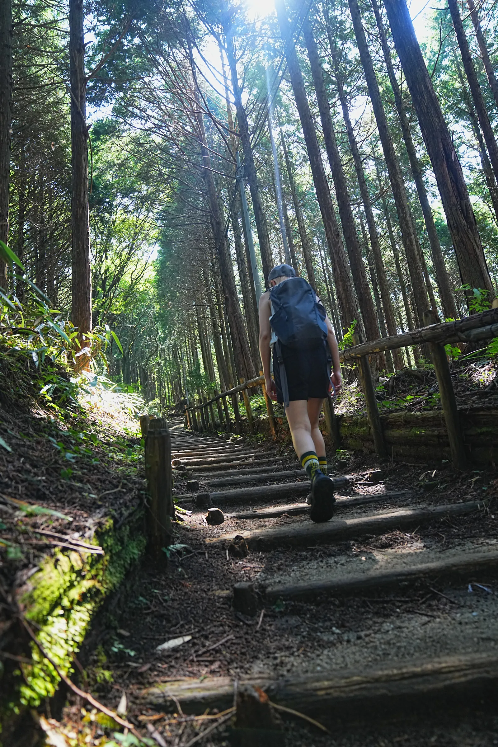初夏の金剛山を木漏れ日登山！