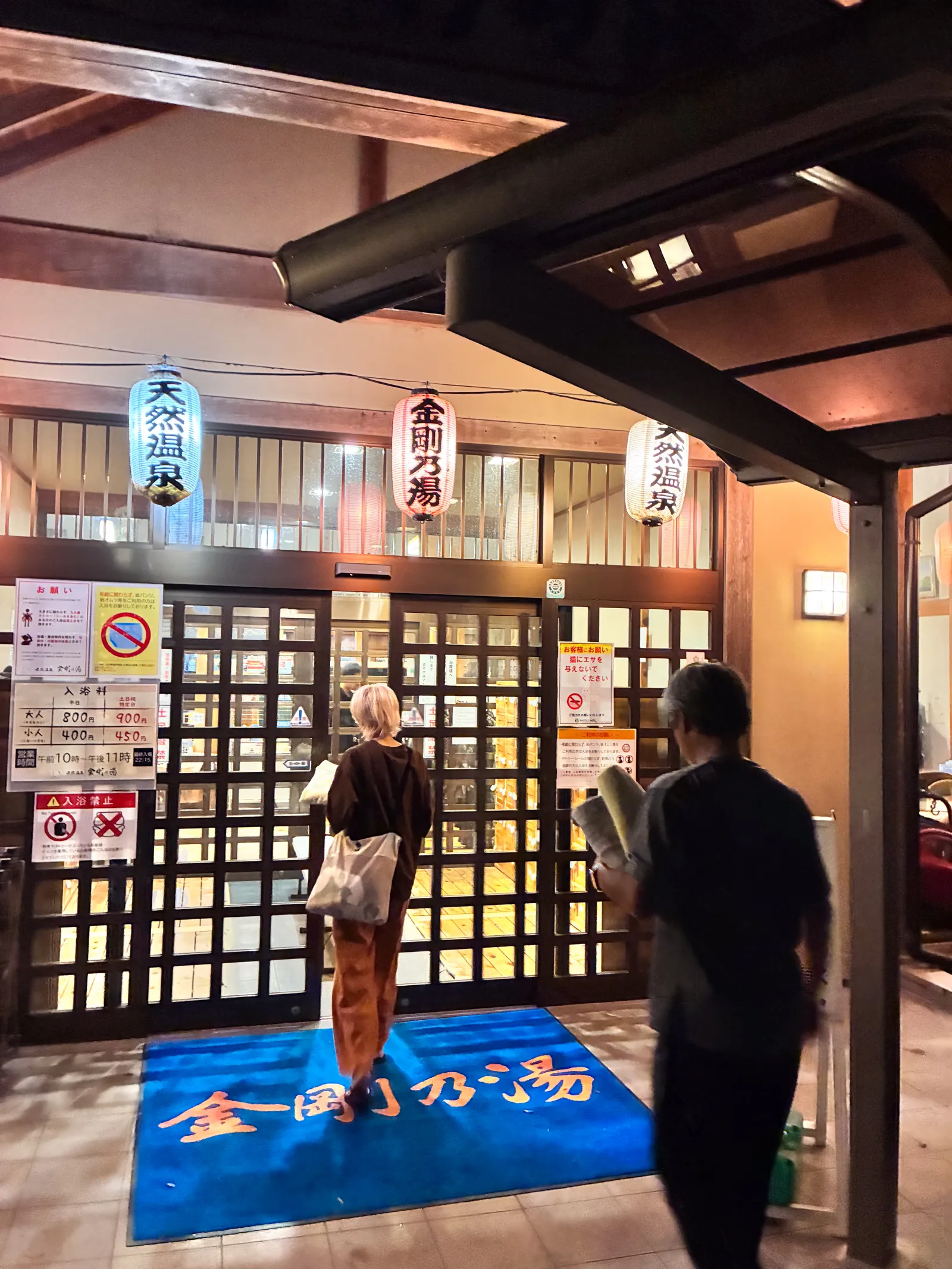 初夏の金剛山を木漏れ日登山！