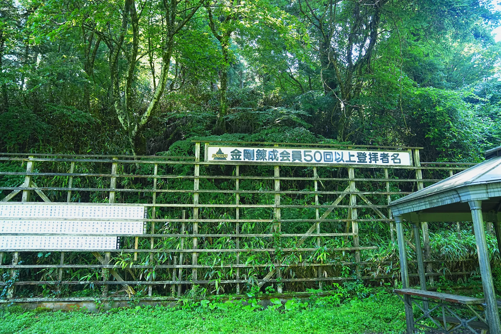 初夏の金剛山を木漏れ日登山！