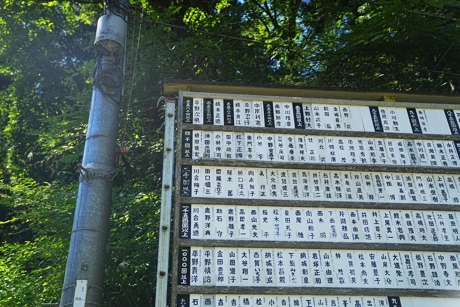 初夏の金剛山を木漏れ日登山！
