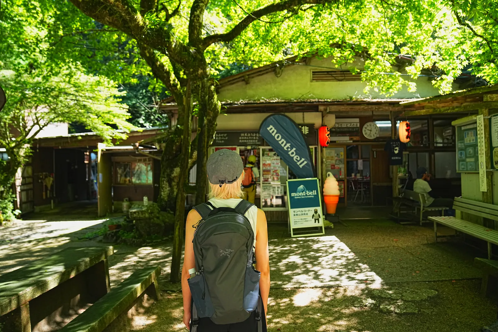 初夏の金剛山を木漏れ日登山！