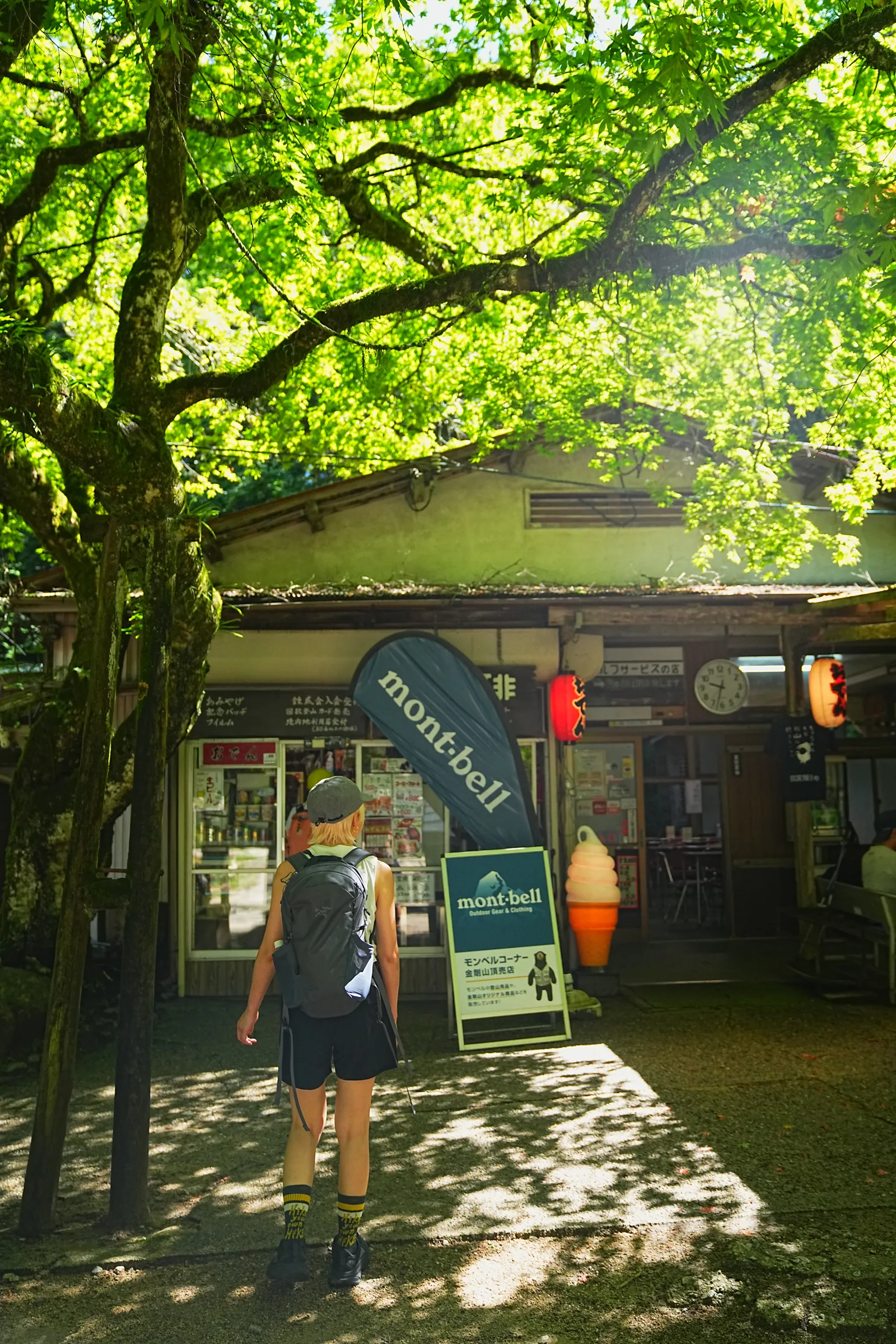 初夏の金剛山を木漏れ日登山！