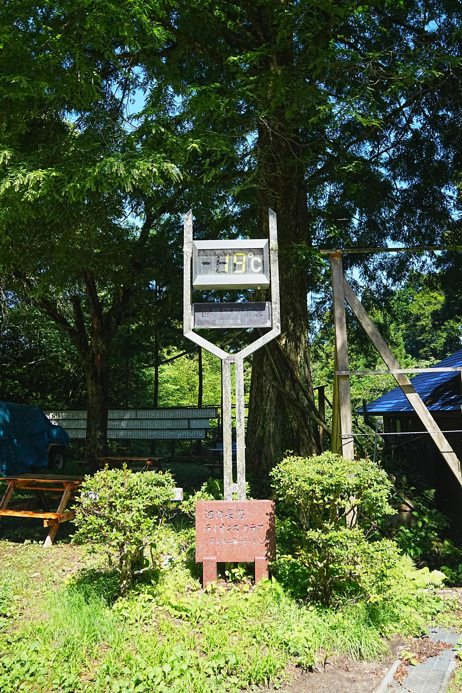 初夏の金剛山を木漏れ日登山！
