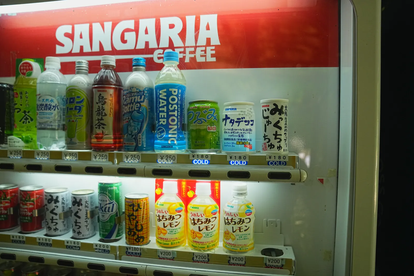 初夏の金剛山を木漏れ日登山！