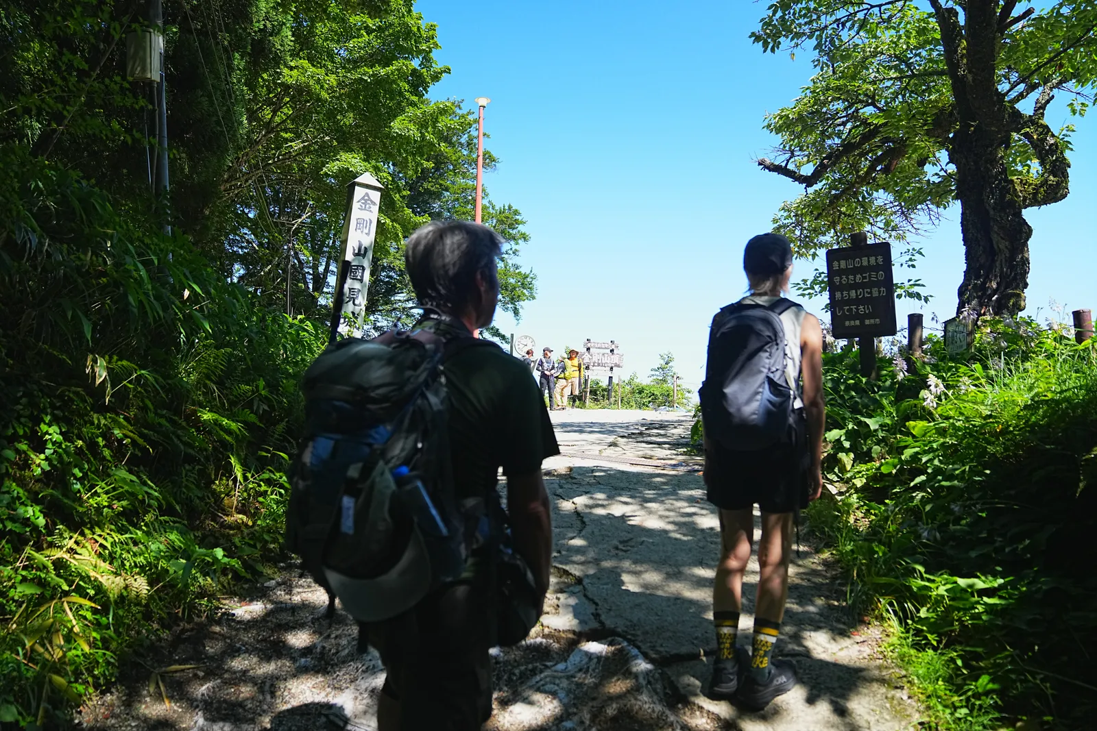 初夏の金剛山を木漏れ日登山！