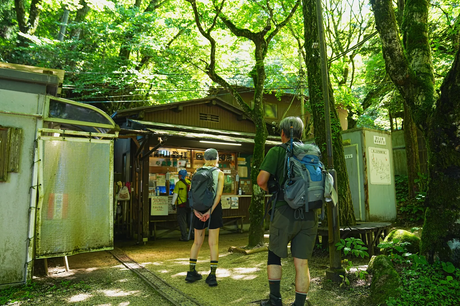 初夏の金剛山を木漏れ日登山！