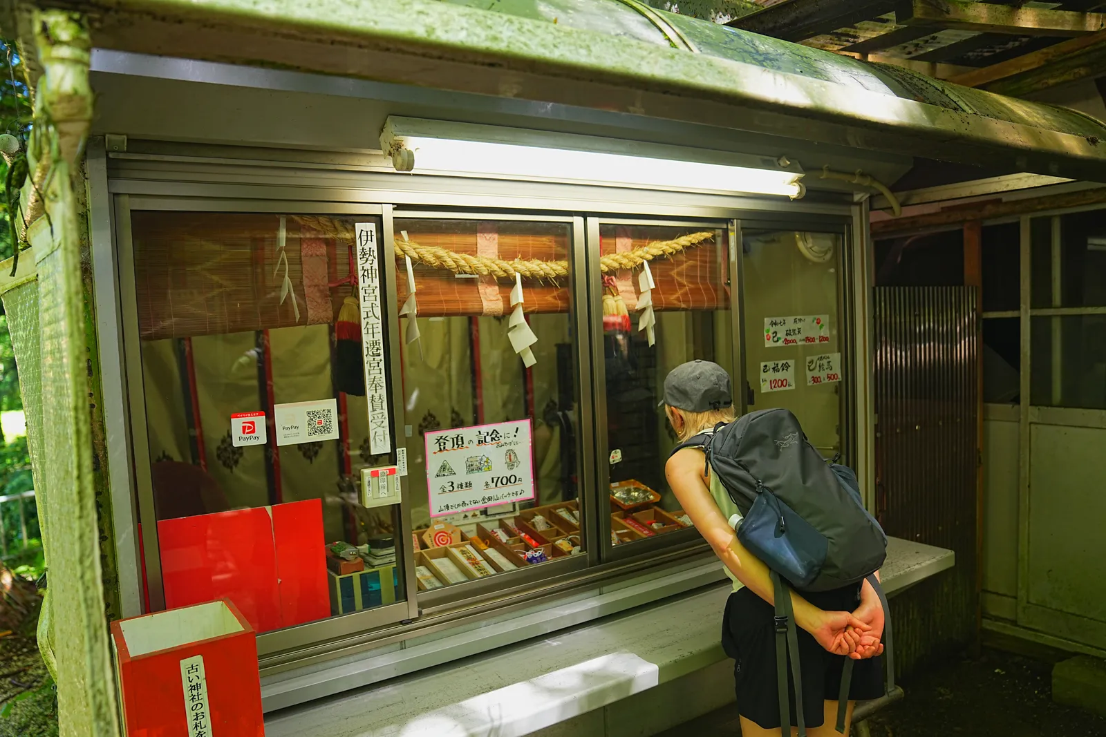 初夏の金剛山を木漏れ日登山！