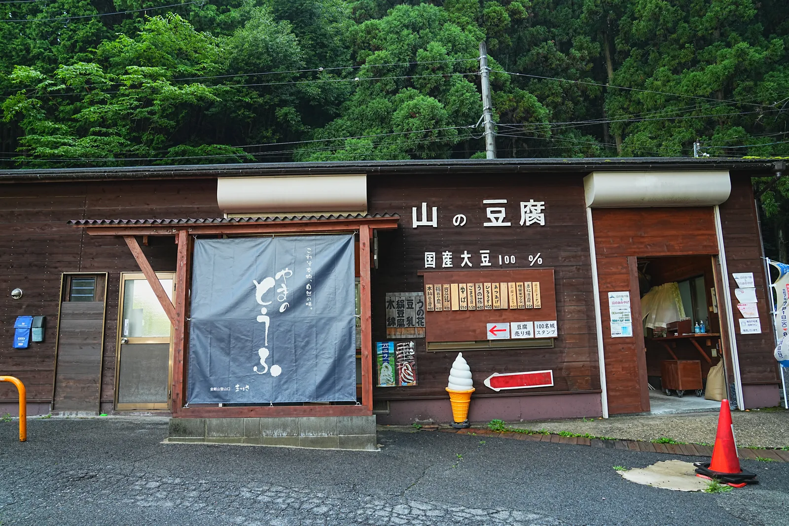 初夏の金剛山を木漏れ日登山！