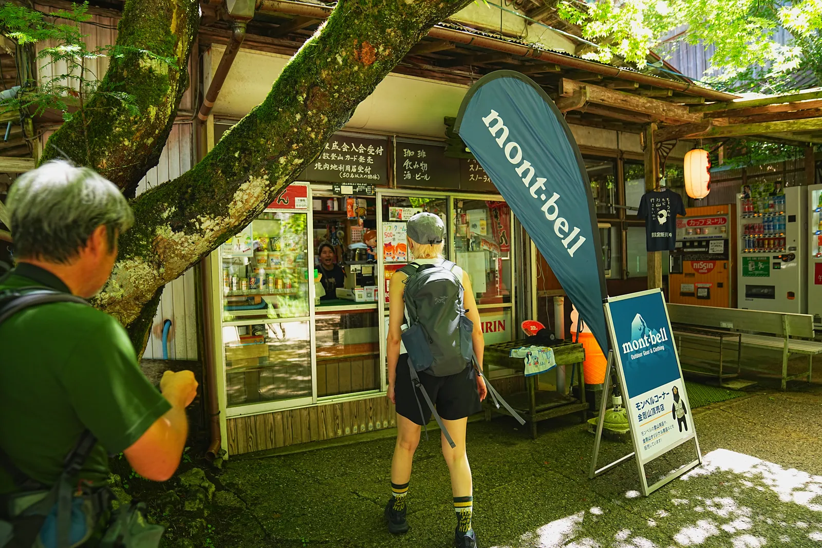 初夏の金剛山を木漏れ日登山！