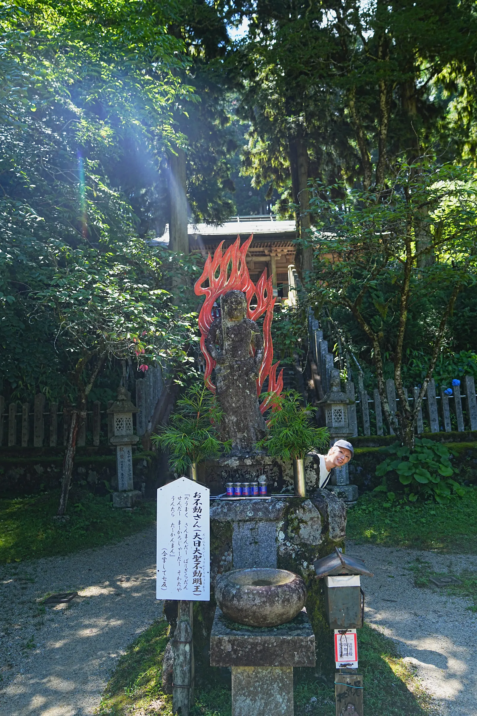 初夏の金剛山を木漏れ日登山！