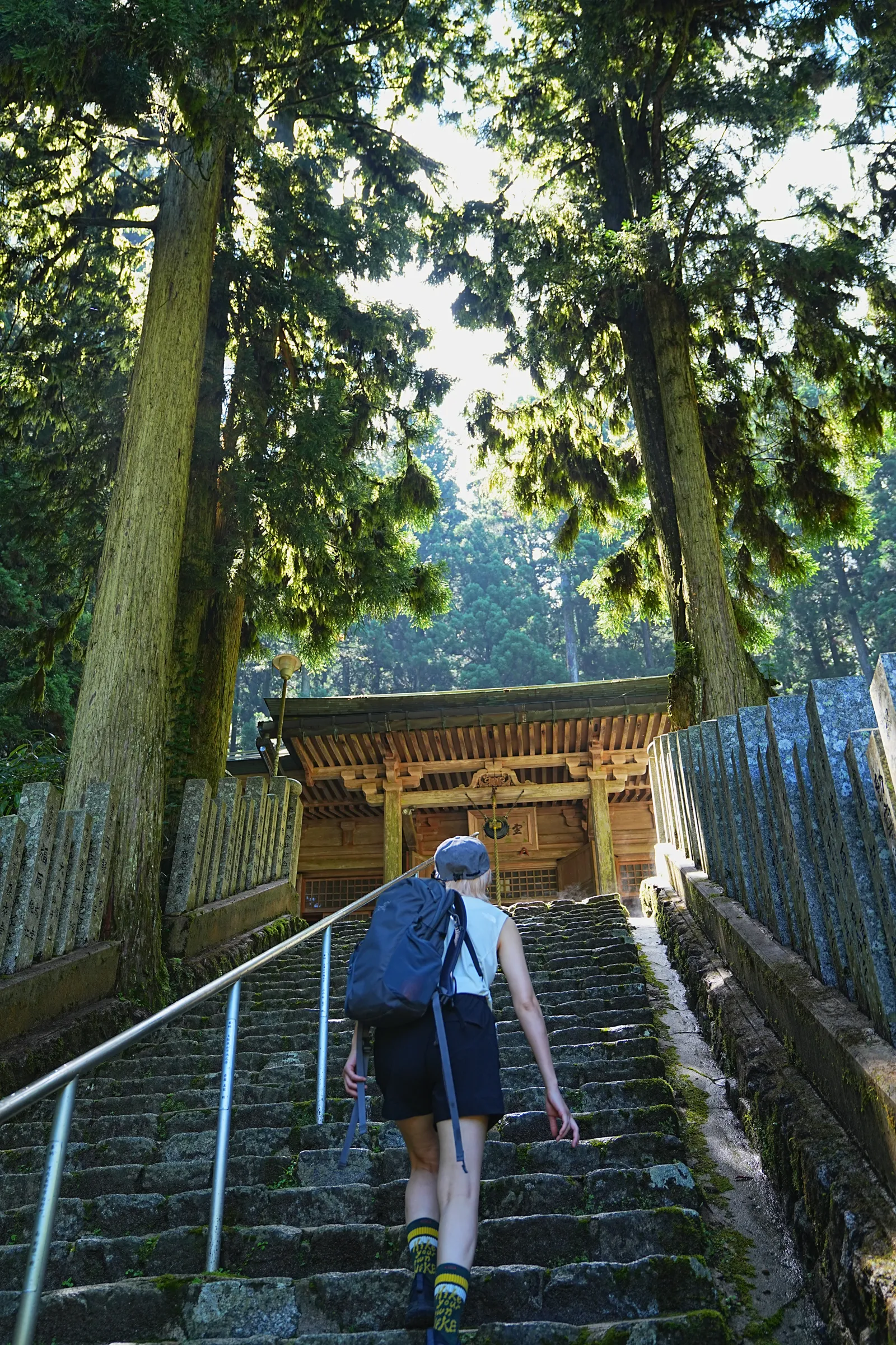 初夏の金剛山を木漏れ日登山！