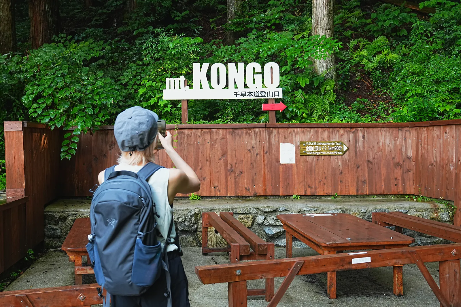 初夏の金剛山を木漏れ日登山！