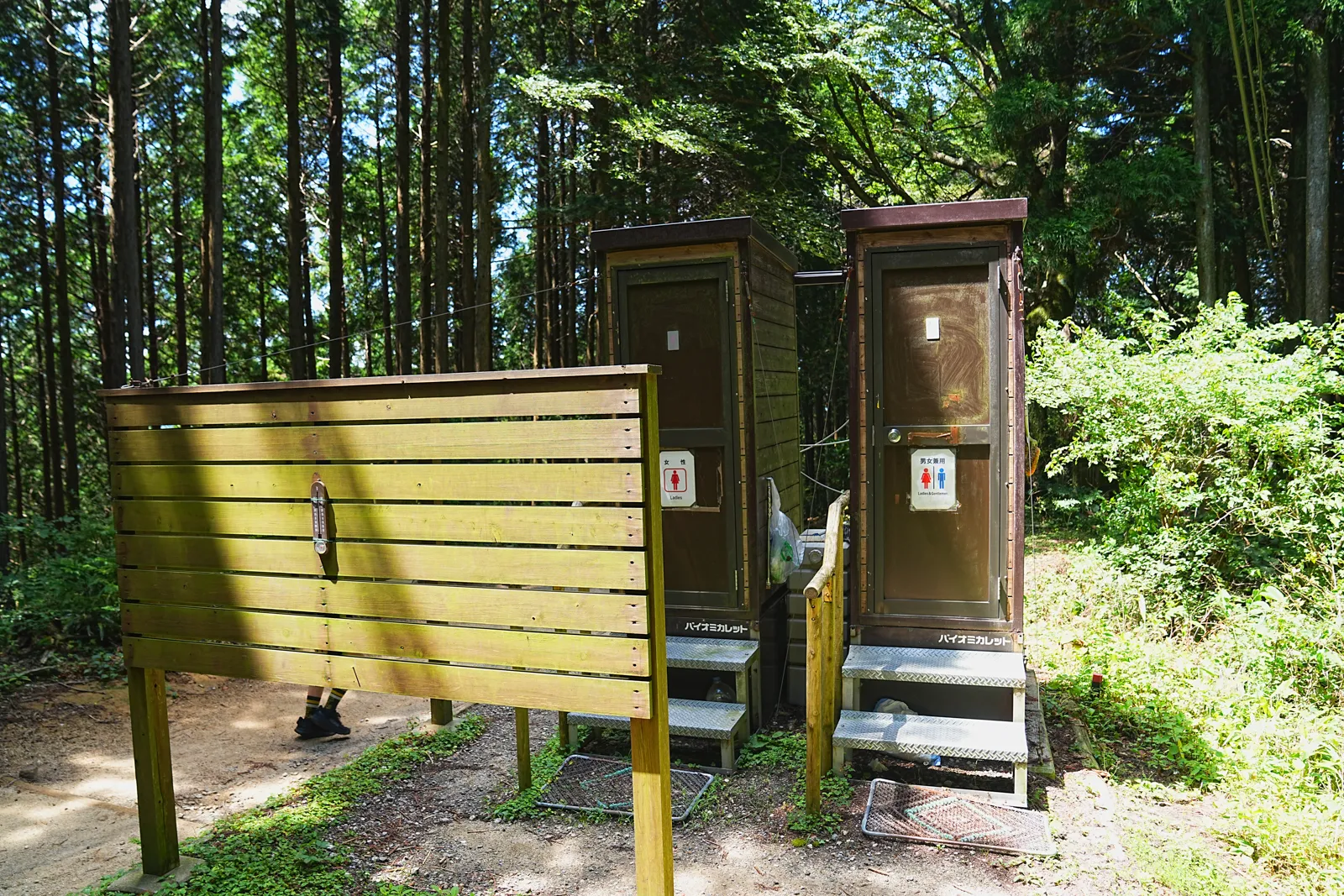 初夏の金剛山を木漏れ日登山！