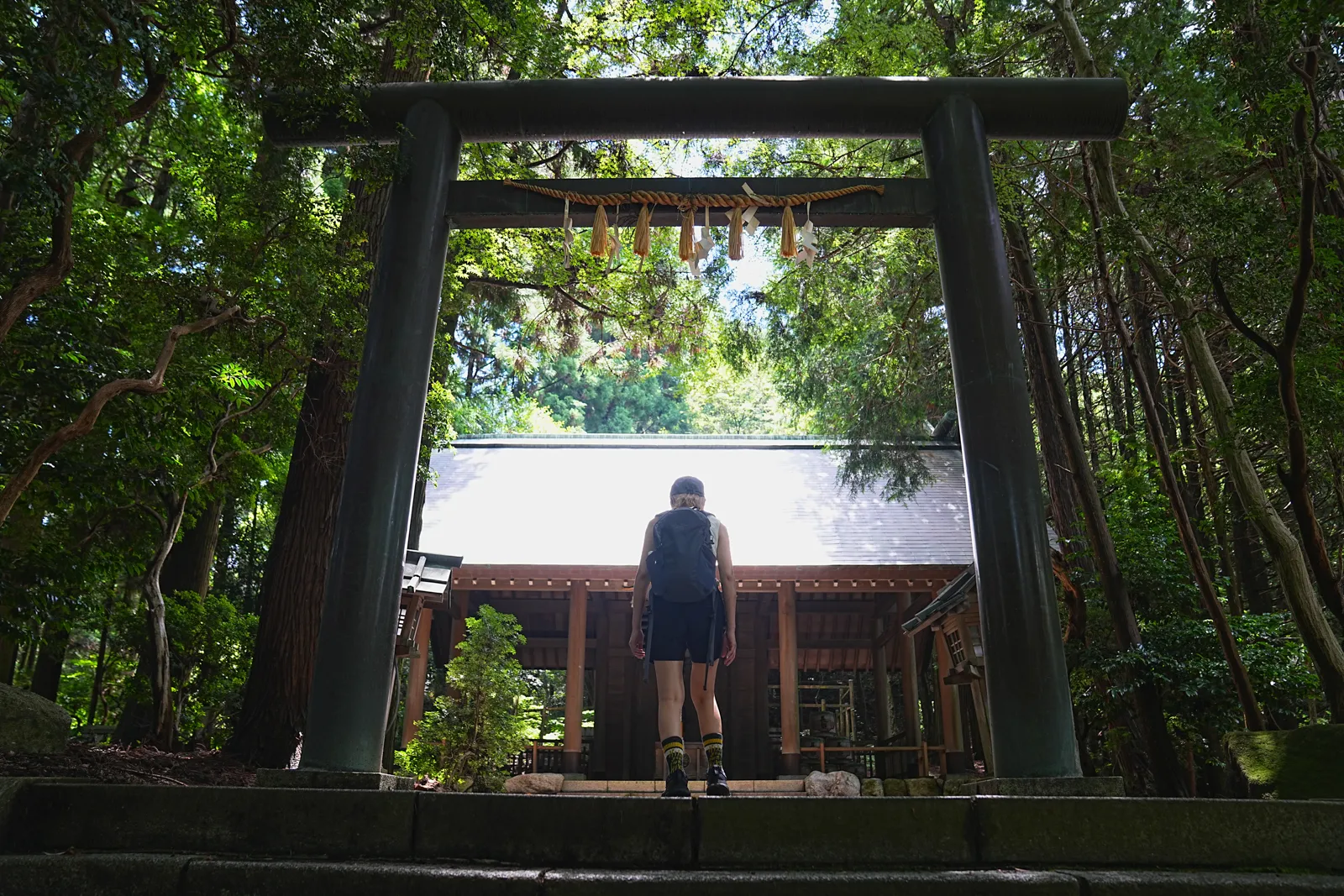 初夏の金剛山を木漏れ日登山！