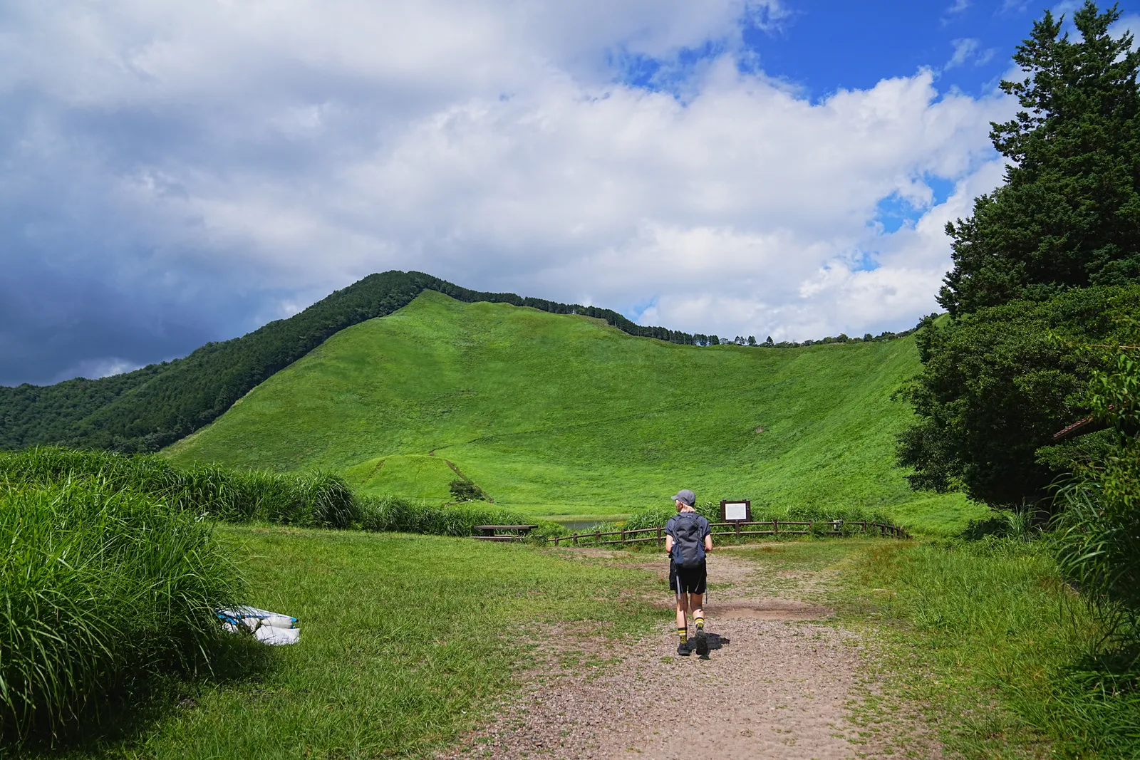初夏の金剛山を木漏れ日登山！