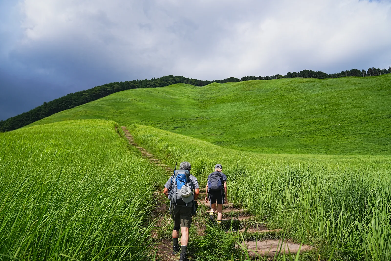 初夏の金剛山を木漏れ日登山！
