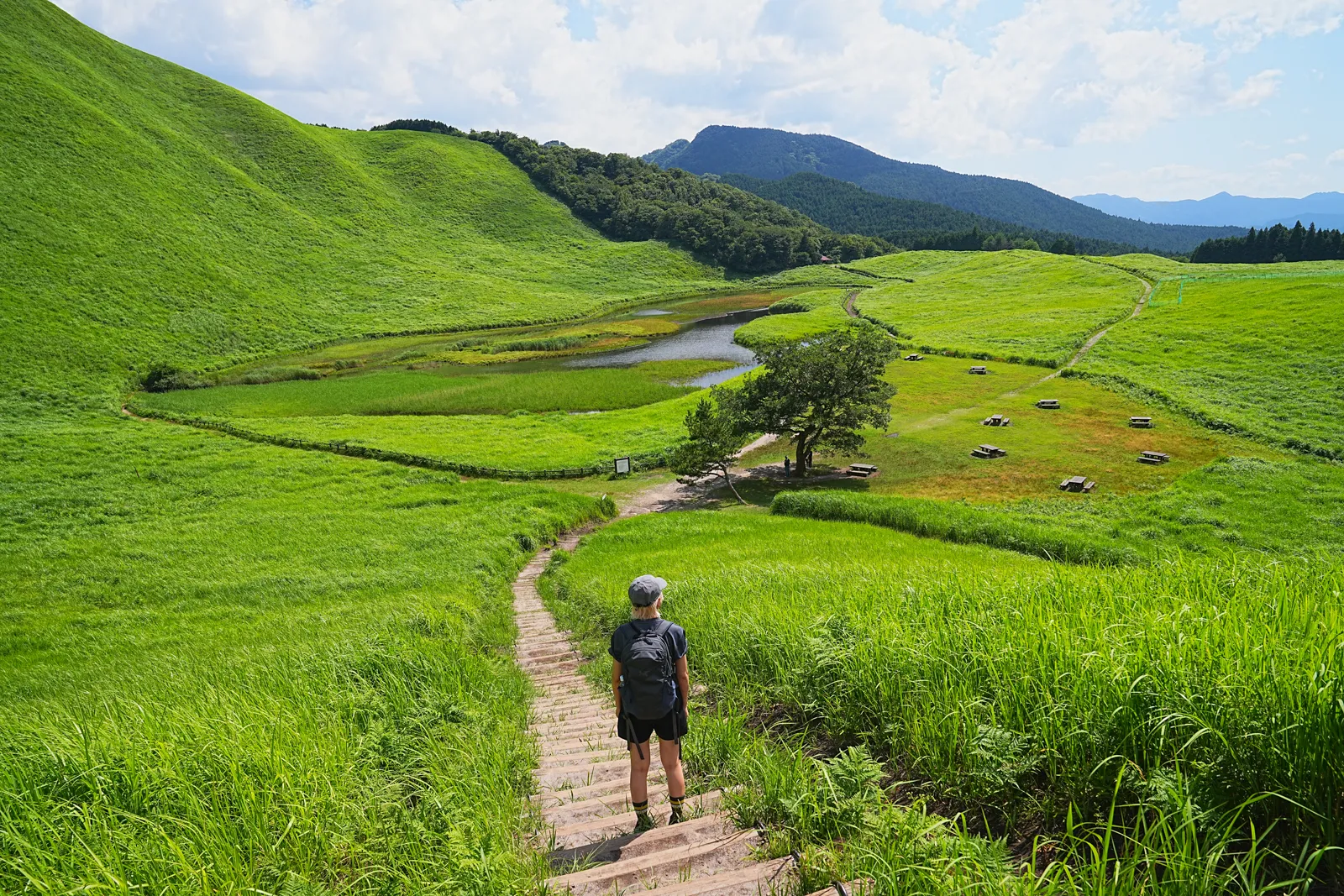 初夏の金剛山を木漏れ日登山！