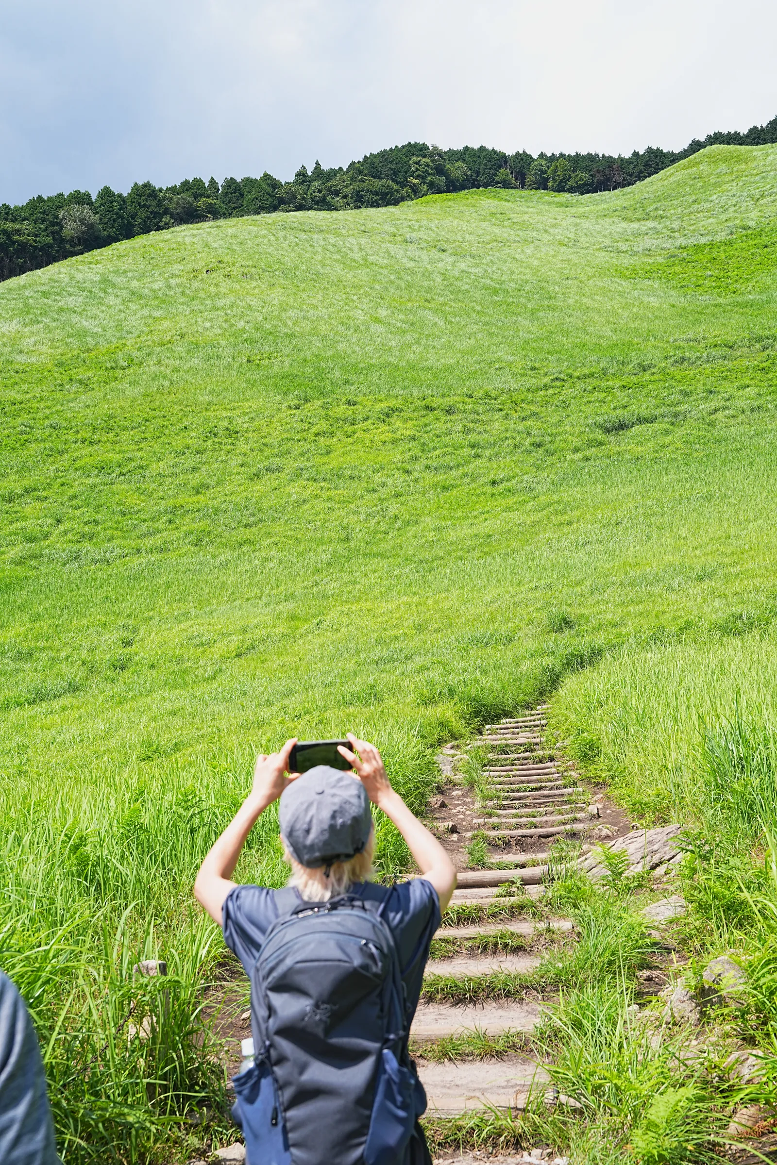 初夏の金剛山を木漏れ日登山！
