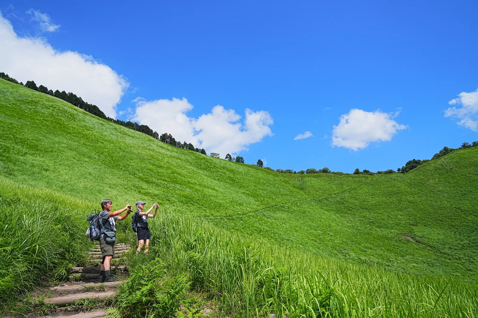 初夏の金剛山を木漏れ日登山！