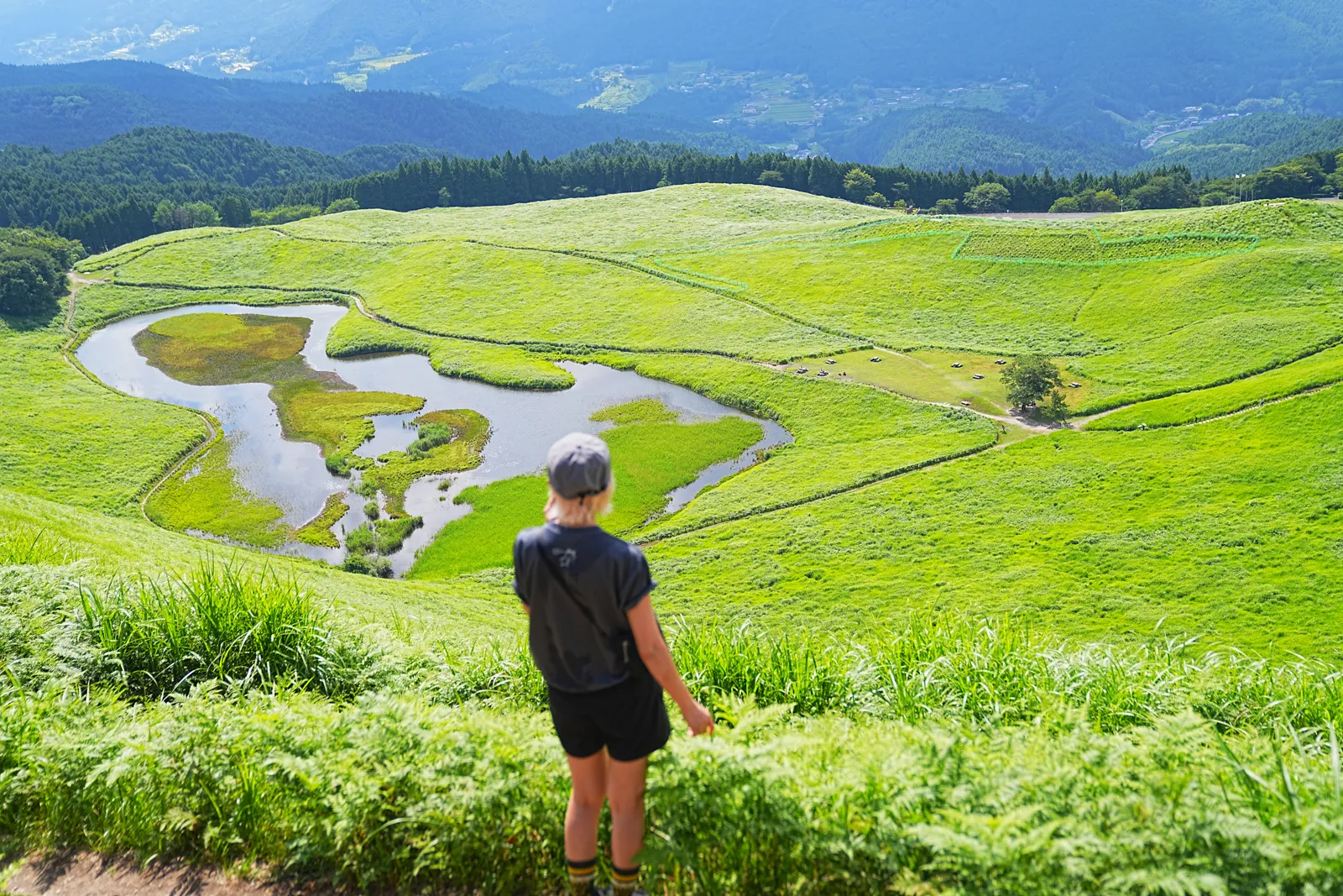 初夏の金剛山を木漏れ日登山！