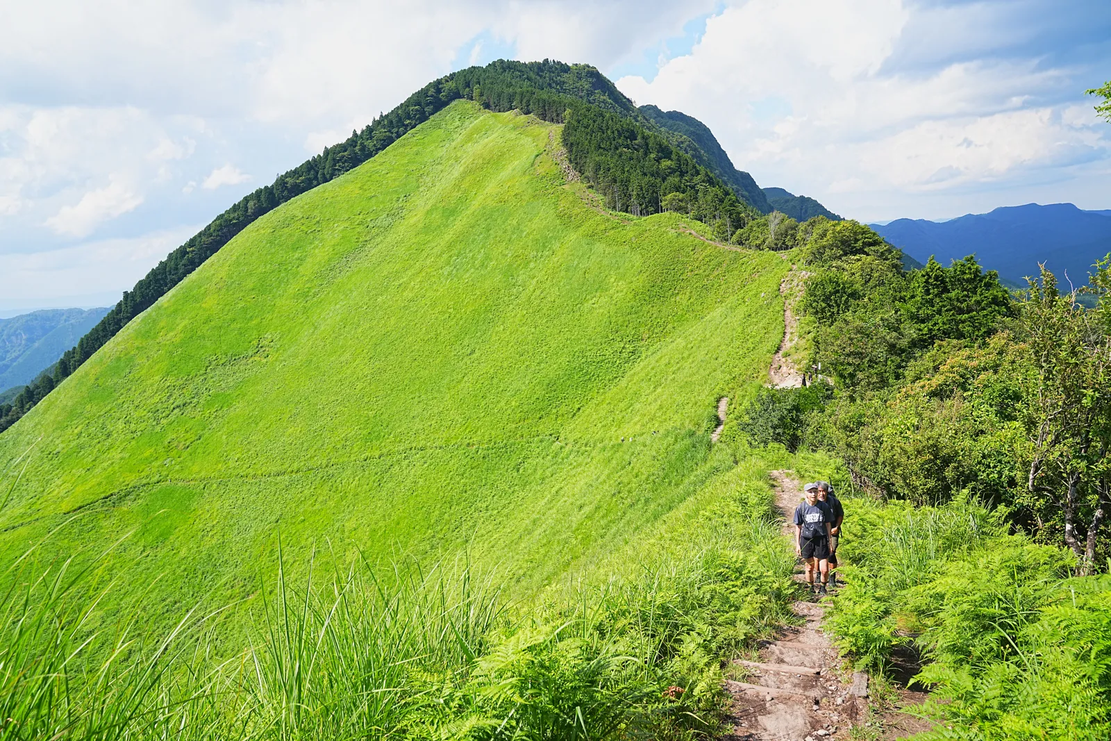 初夏の金剛山を木漏れ日登山！