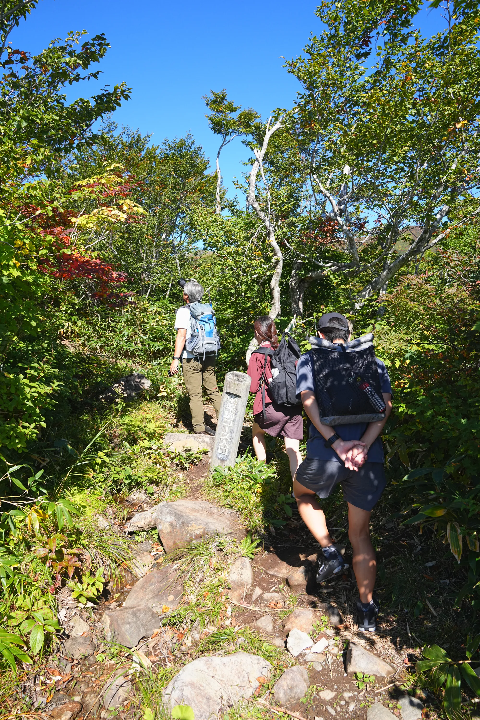 紅葉に燃える栗駒山。2025年紅葉状況レポート。