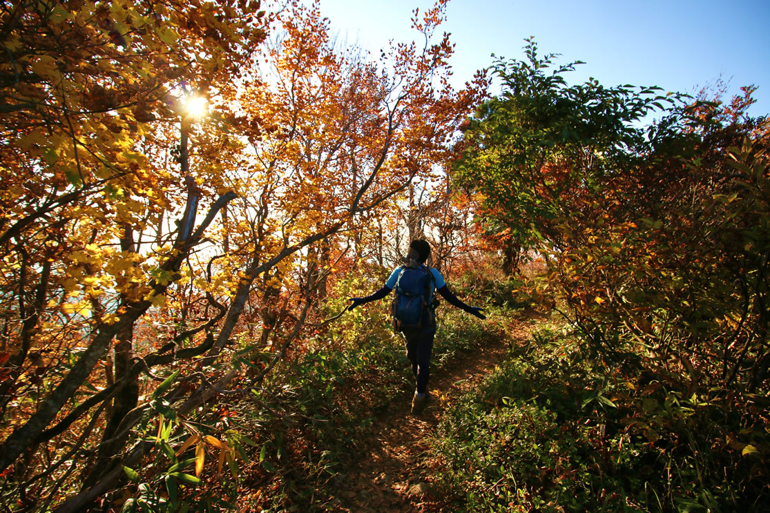 八海山 登山