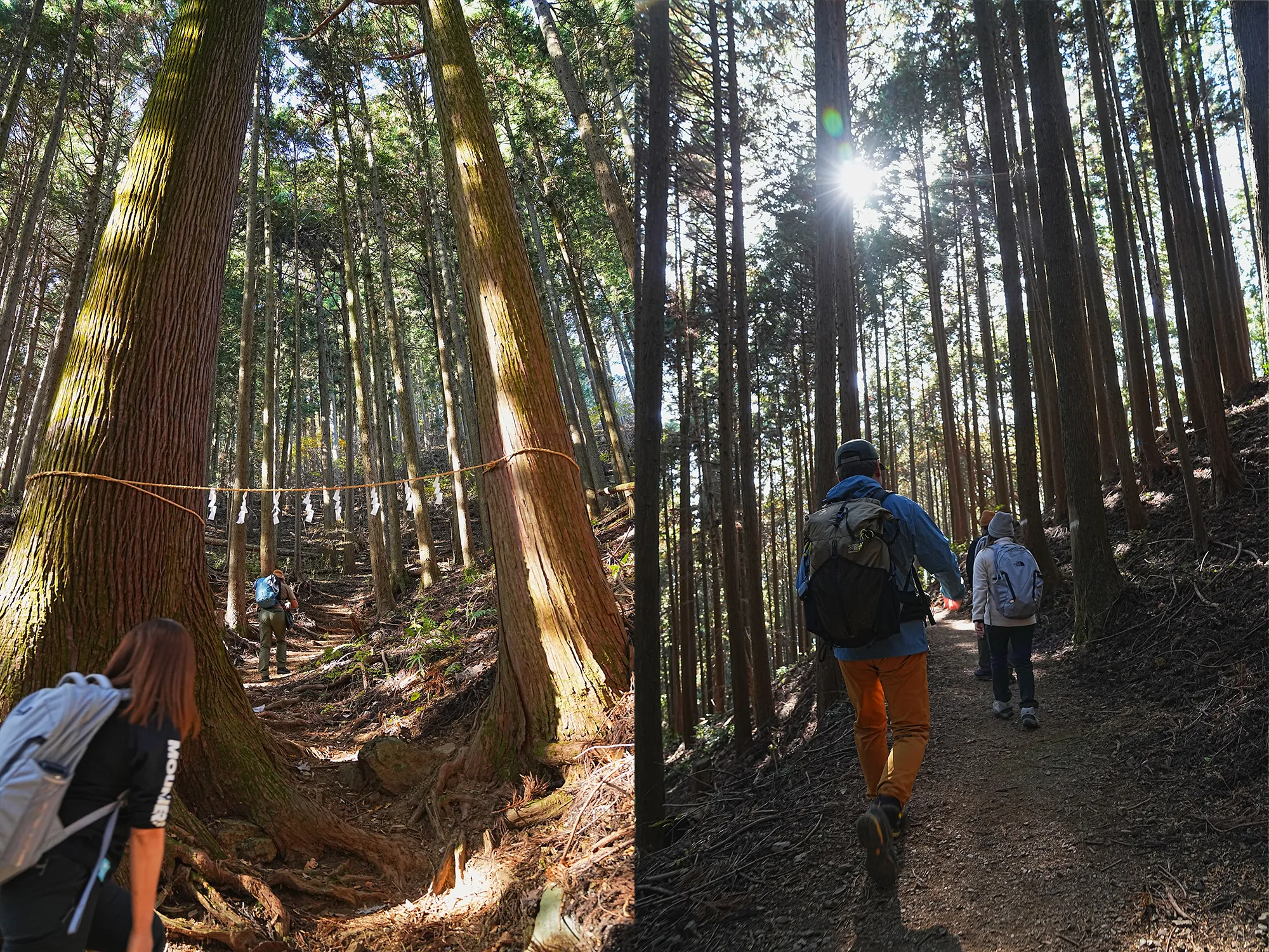御岳駅〜惣岳山ハイキング