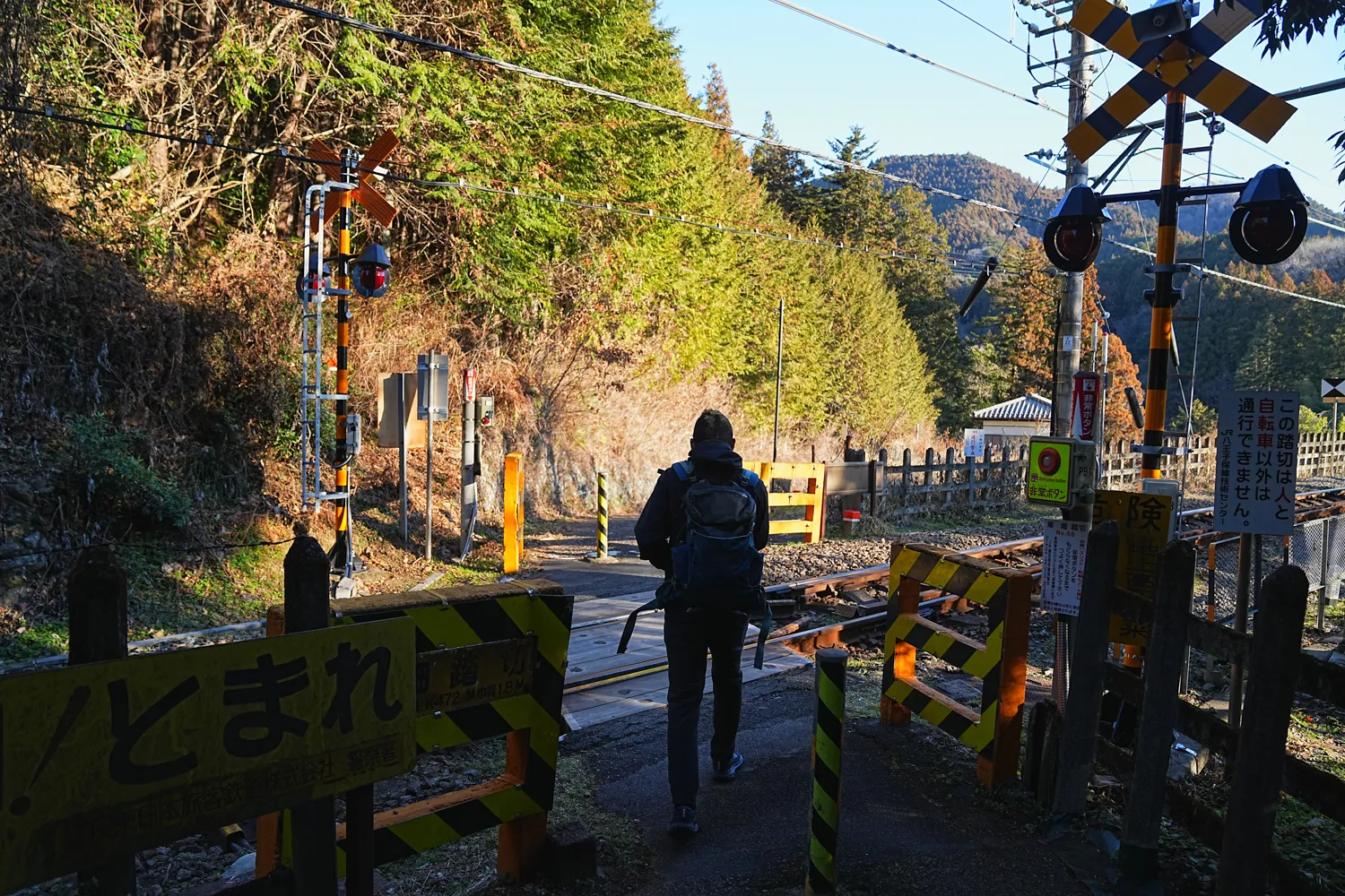 奥多摩 高水三山をのんびりグルッと登山