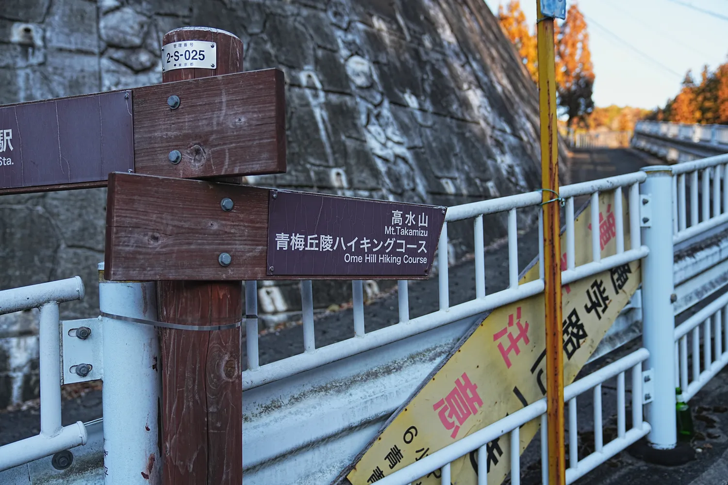 奥多摩 高水三山をのんびりグルッと登山