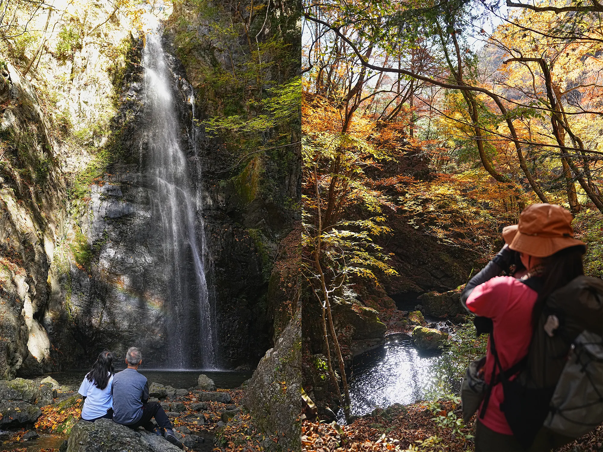 百尋ノ滝ハイキングツアー