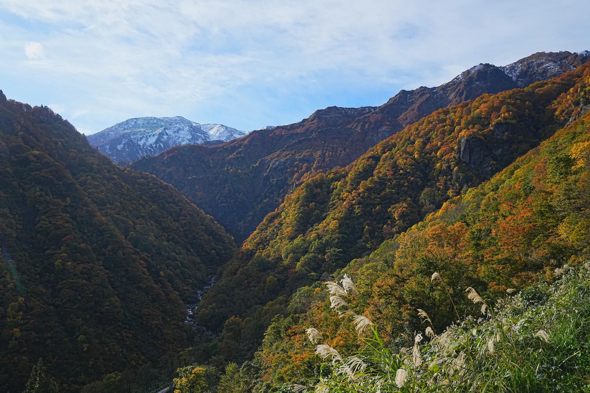 紅葉がピーク！裏巻機渓谷で紅葉ハイキング！