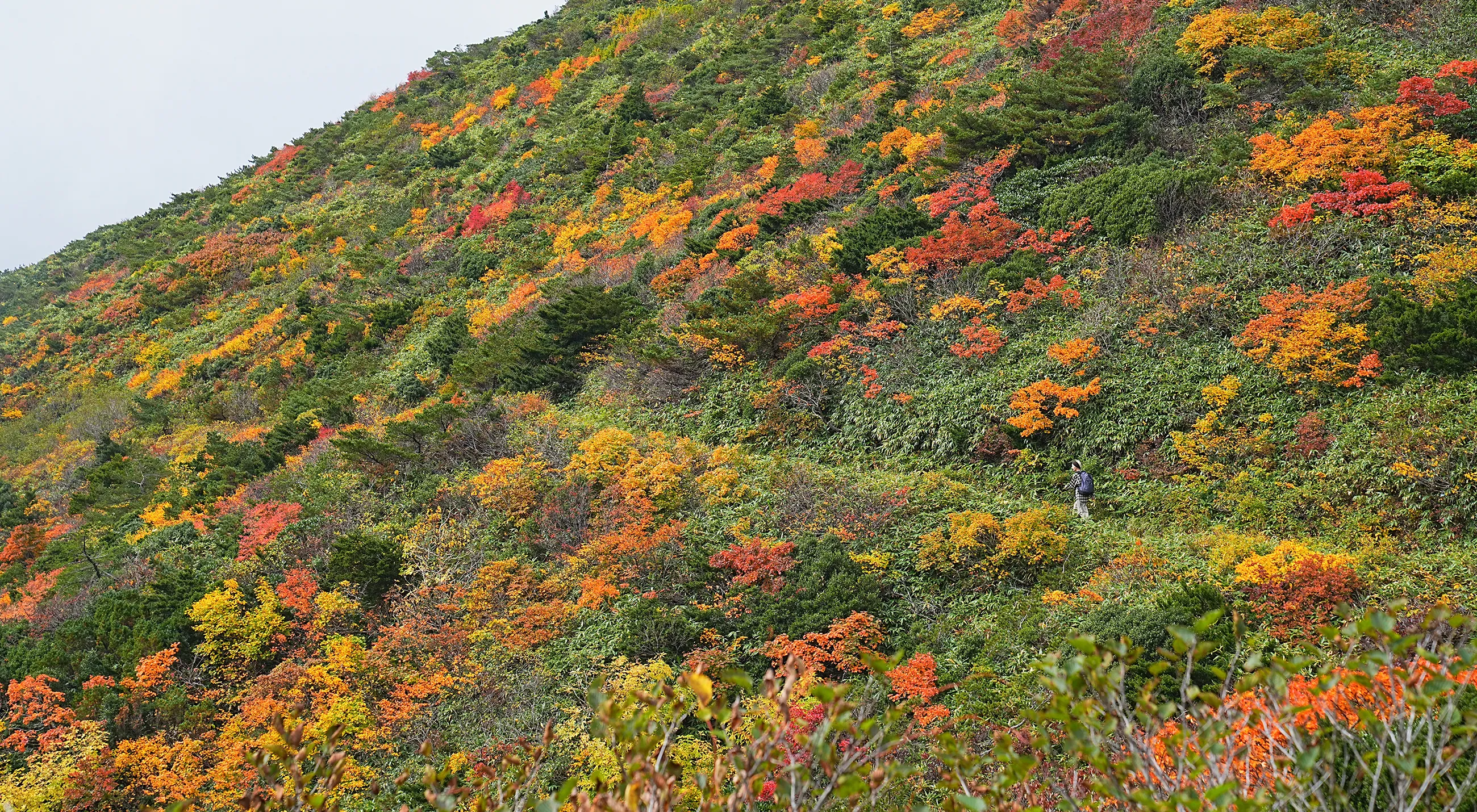 蔵王をロープウェイで楽々紅葉ハイキング