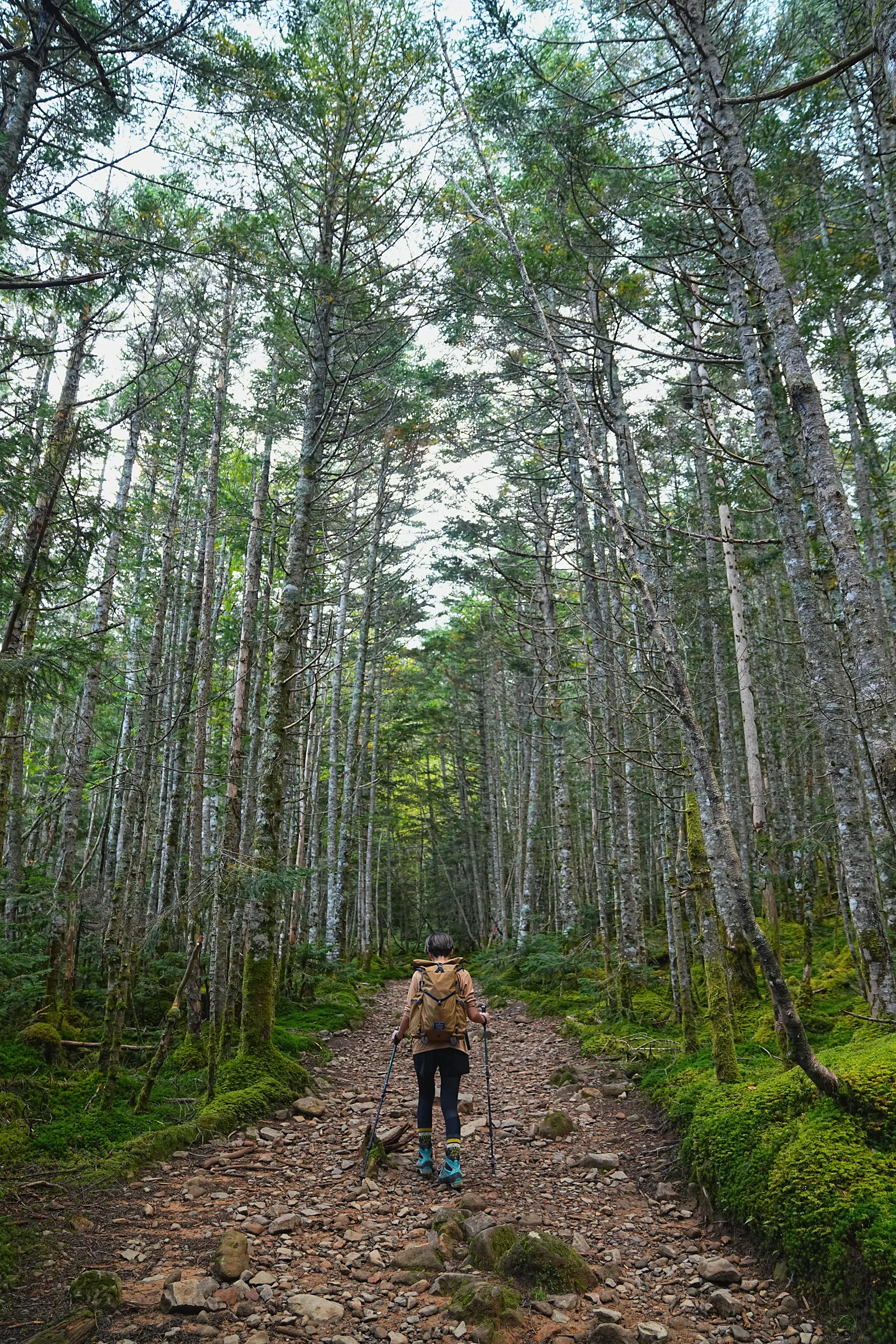 八ヶ岳の主峰 赤岳 日帰り登山