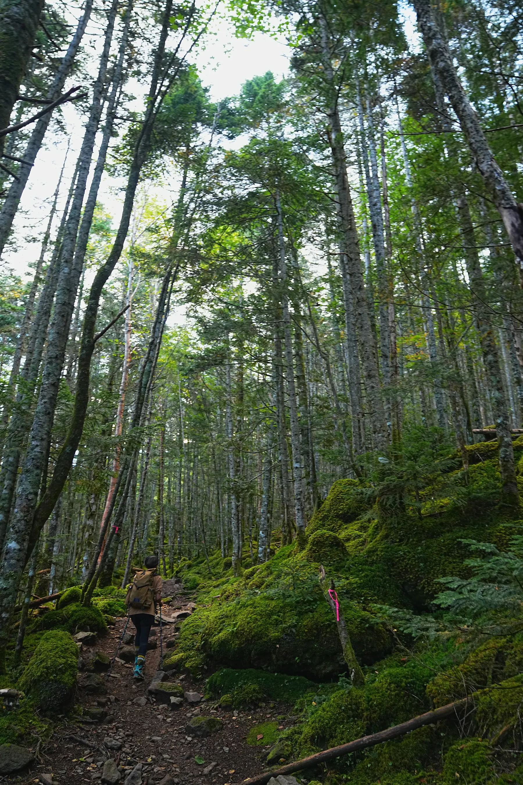 八ヶ岳の主峰 赤岳 日帰り登山