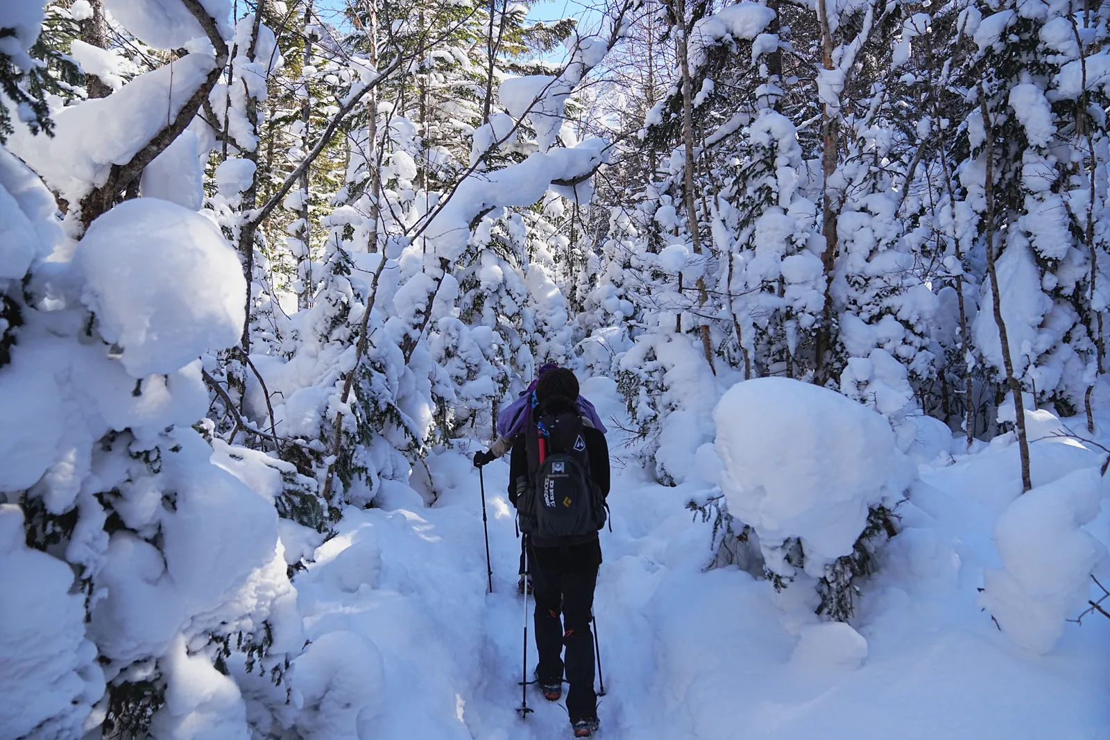 厳冬期の赤岳へ！赤岳天望荘に泊まって朝焼け登山！！