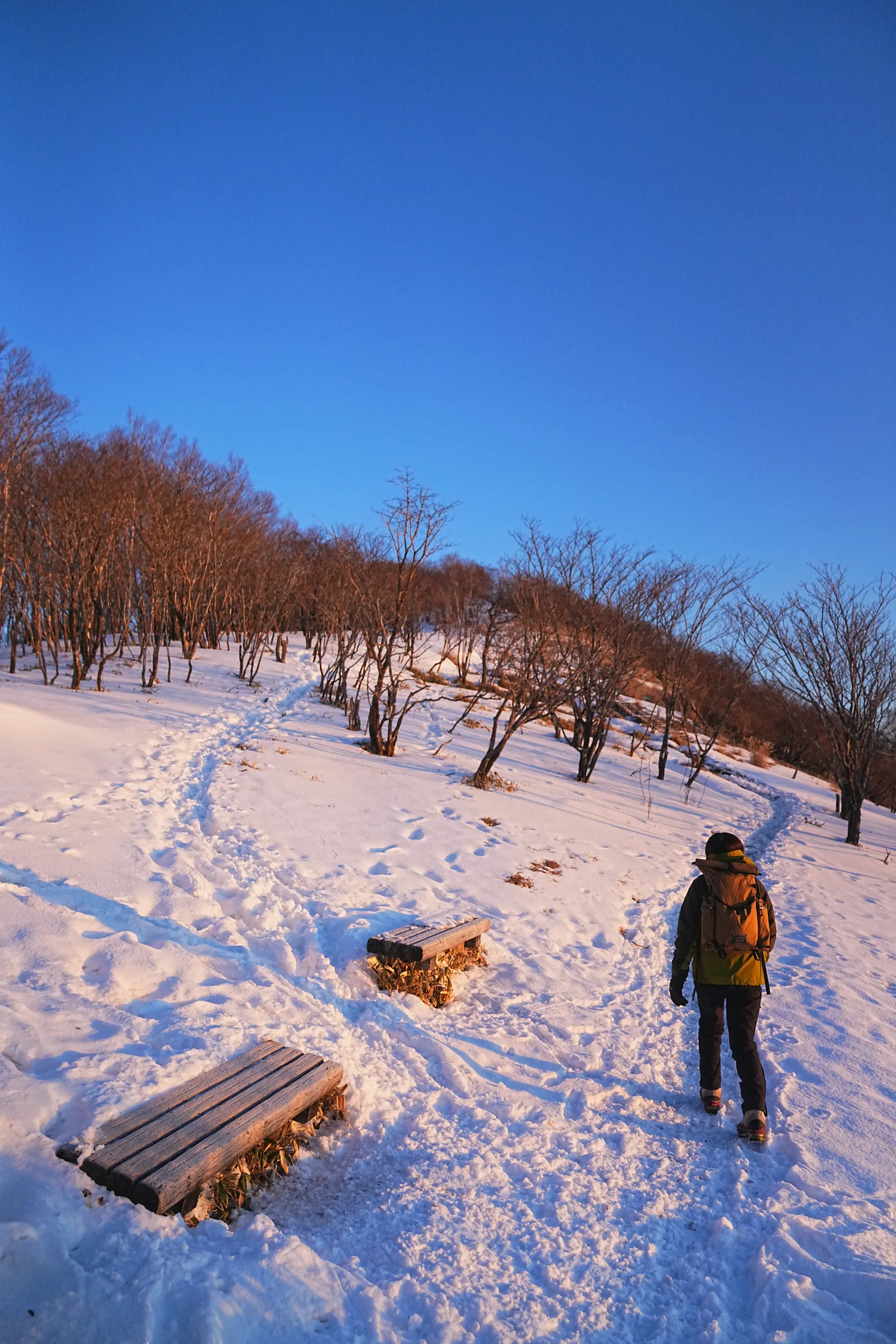 冬の赤城山へ。のんびり日帰り雪山登山。