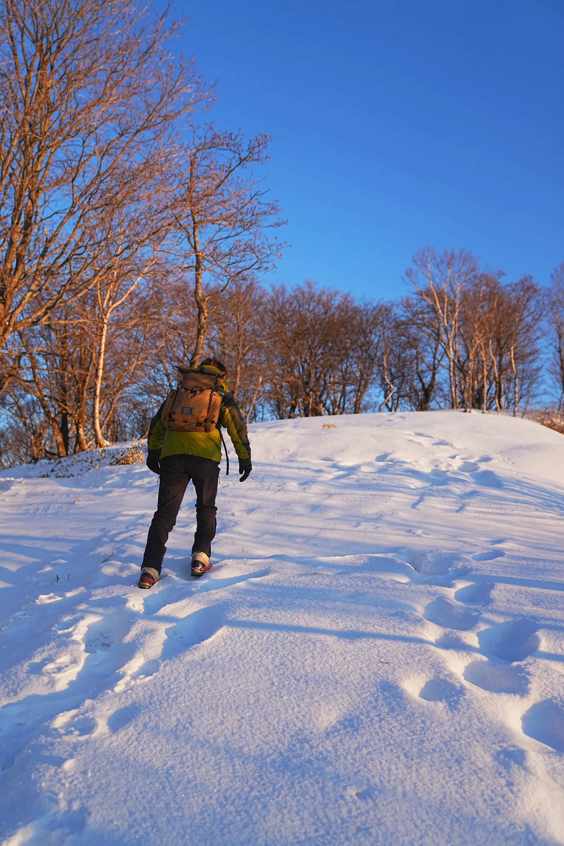 冬の赤城山へ。のんびり日帰り雪山登山。