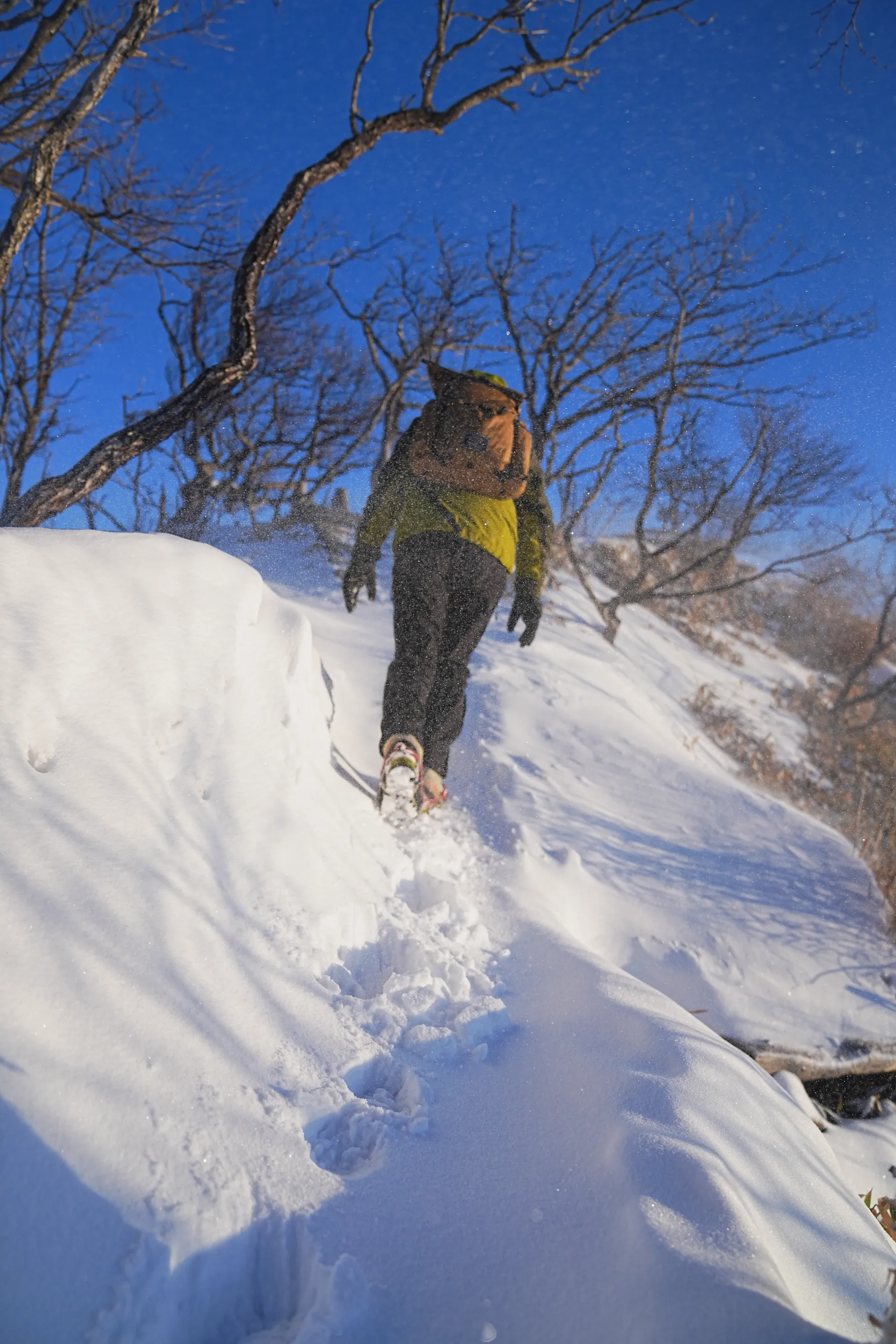 冬の赤城山へ。のんびり日帰り雪山登山。