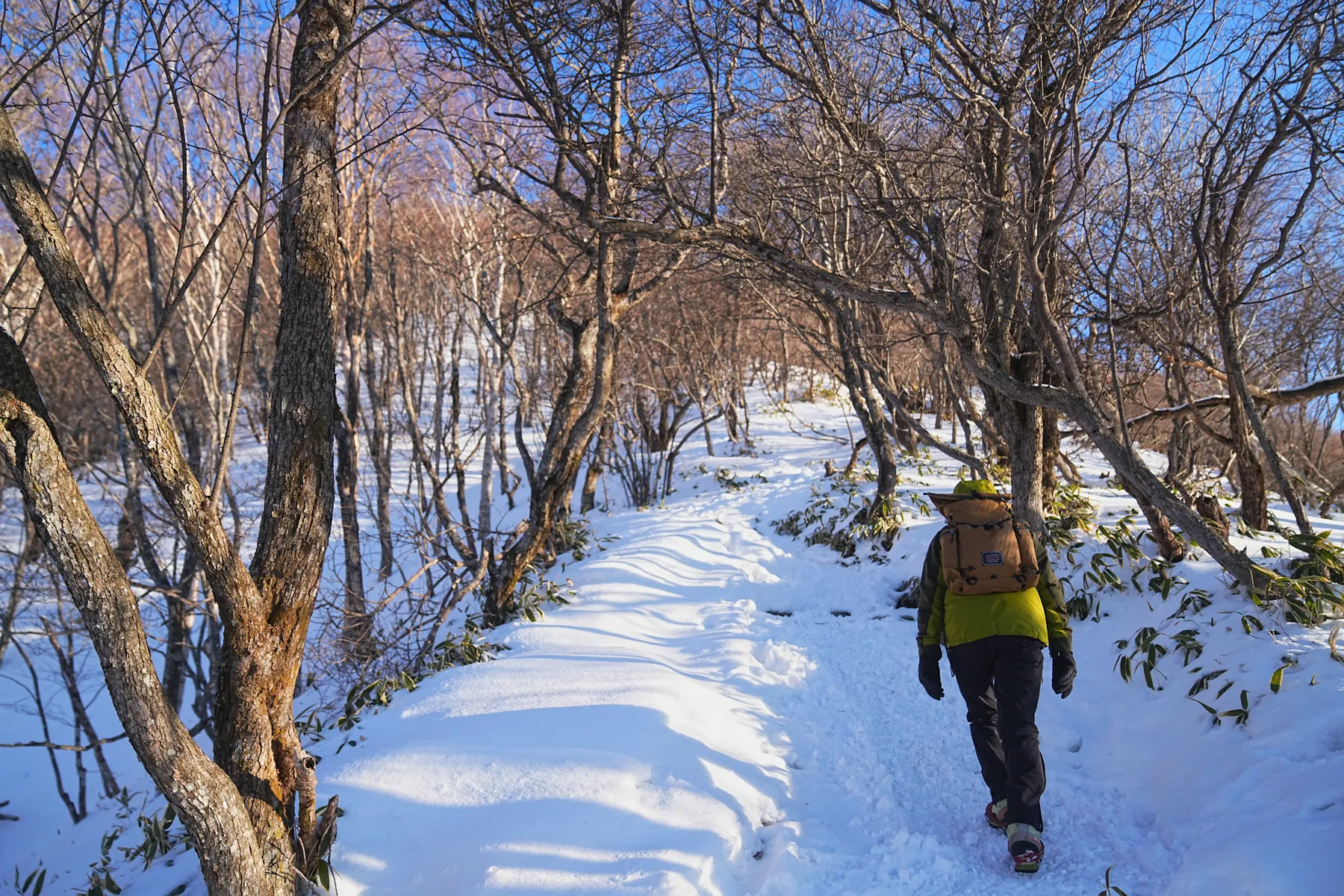 冬の赤城山へ。のんびり日帰り雪山登山。