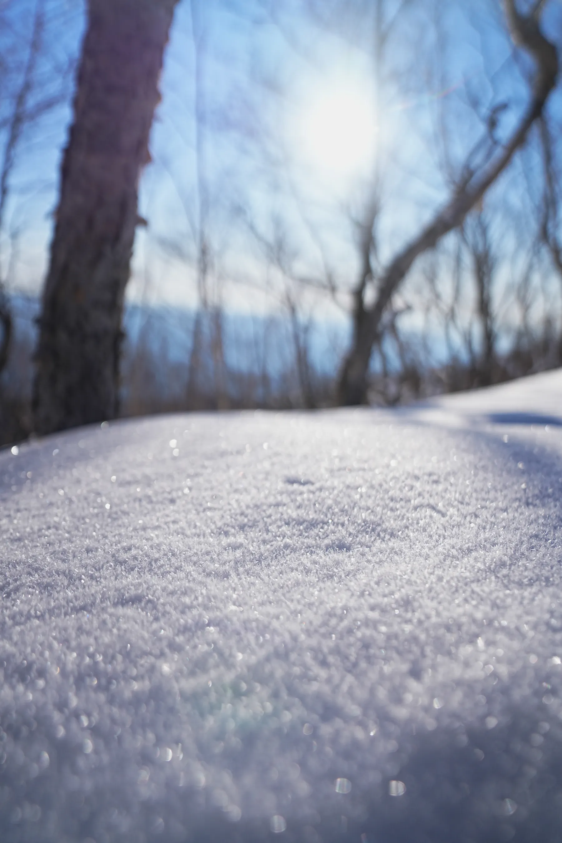 冬の赤城山へ。のんびり日帰り雪山登山。