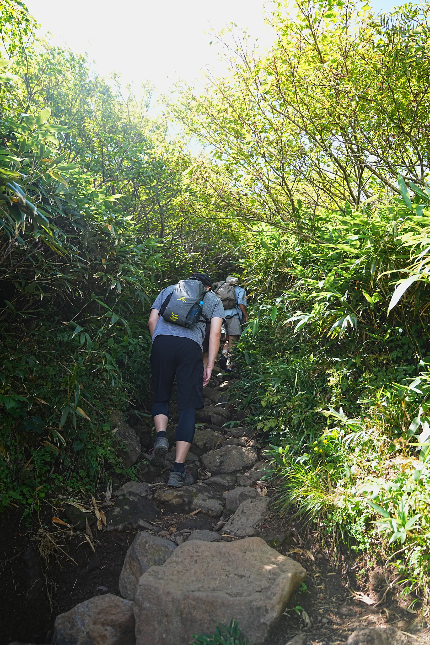 夏の終わりの秋田駒ヶ岳をのんびり日帰り登山。